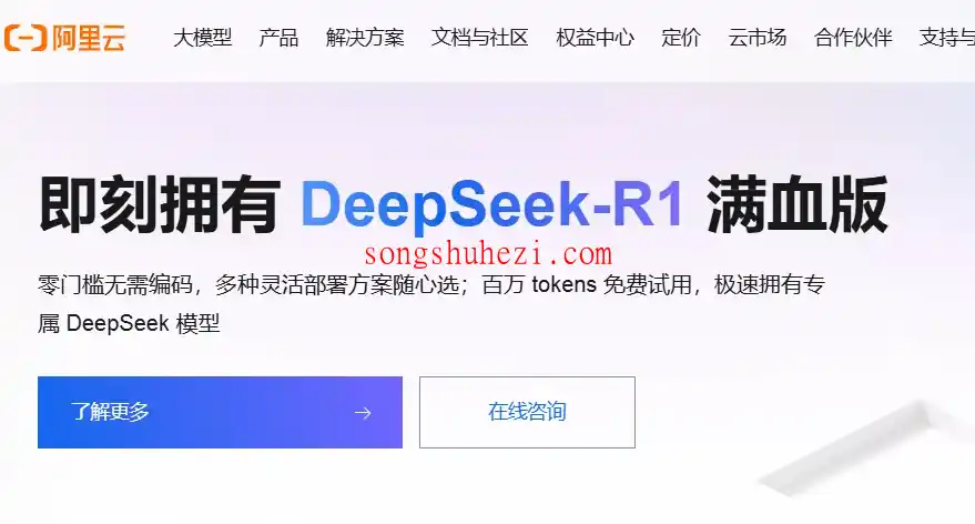 ai_tutorial_deepseek_advanced_get_api_5