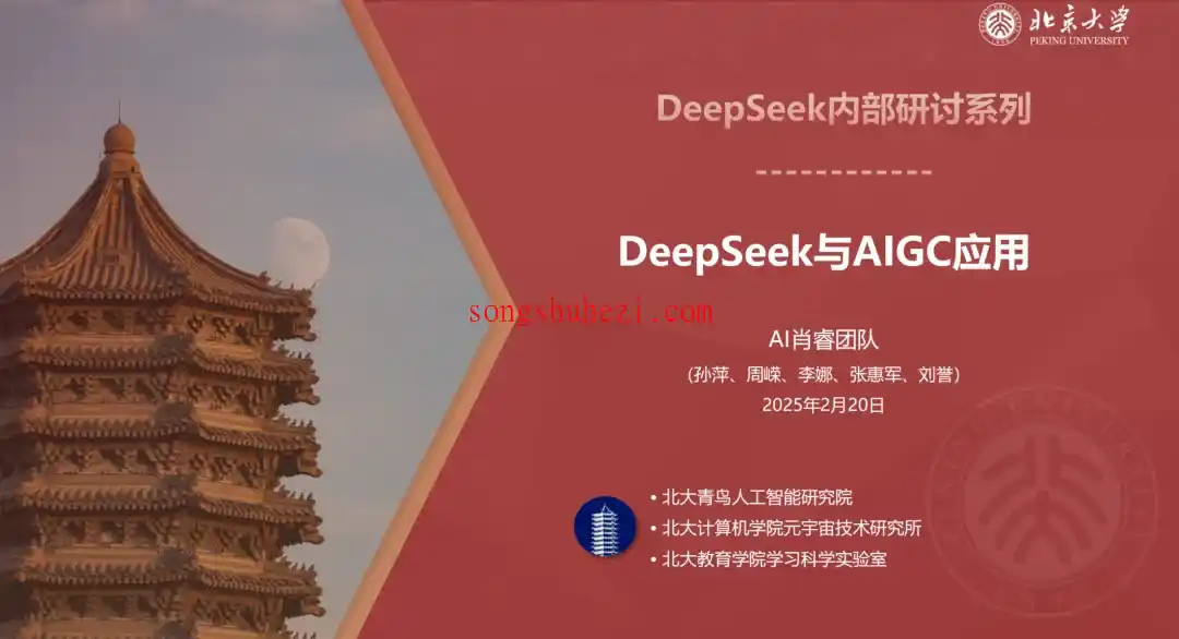 ai_tutorial_deepseek_basic_PDF_Peking_2