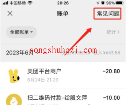 ai_tutorial_wechat_ability_bill_3