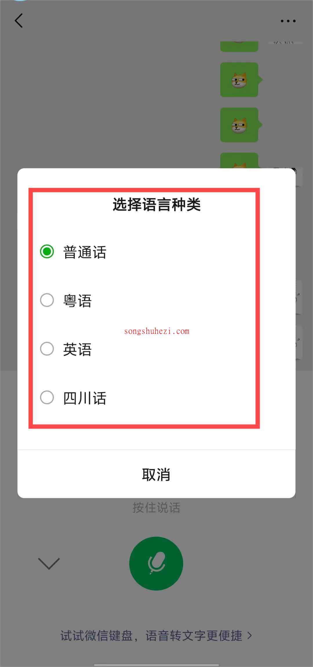 ai_tutorial_wechat_ability_voice_4