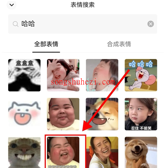 ai_tutorial_wechat_basic_Eemojis_search_5