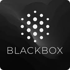 BLACKBOX AI：智能代码问答与编程助手