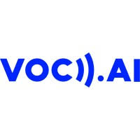 VOC.AI：全渠道客户声音分析和电子商务产品研究平台