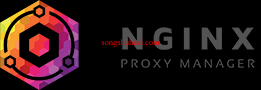 home_open_nginx_proxy_manager_1