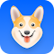 Corgi AI：你的语言学习助手