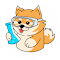 Doge Labs Wallet：管理你的Doginals数字资产